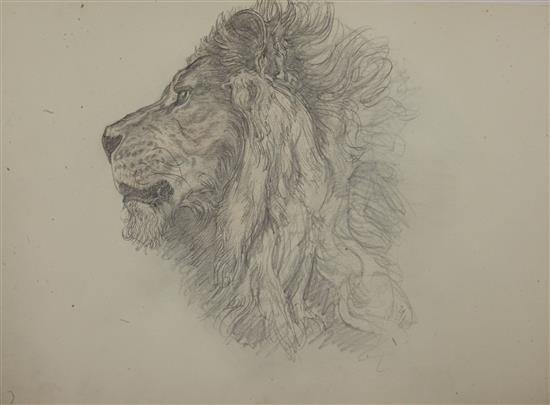 § Austin Osman Spare (1888-1956) Head of a lion 8 x 13in. unframed